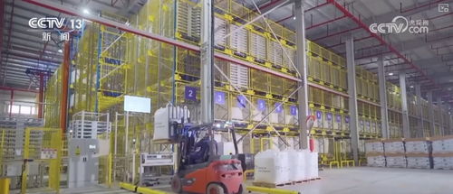 輕工外貿(mào)出口韌性強 家電 日用化學產(chǎn)品 輕工機械實現(xiàn)兩位數(shù)增長