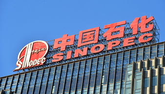 A股77家公司上半年獲政府補貼過億，中國石化成“補貼王”